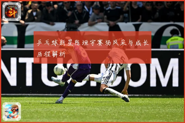 乒乓球新星陈垣宇赛场风采与成长历程解析