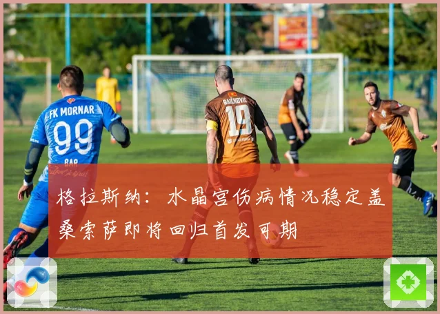 格拉斯纳：水晶宫伤病情况稳定盖桑索萨即将回归首发可期