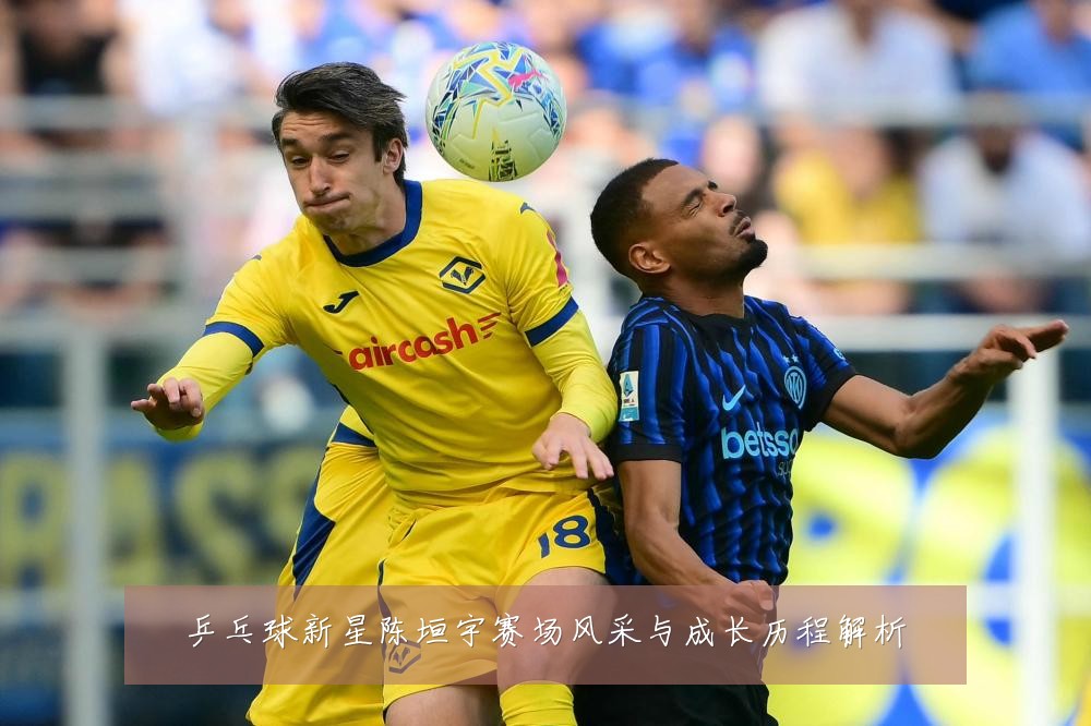 乒乓球新星陈垣宇赛场风采与成长历程解析